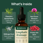 Lymphoria product detail 5