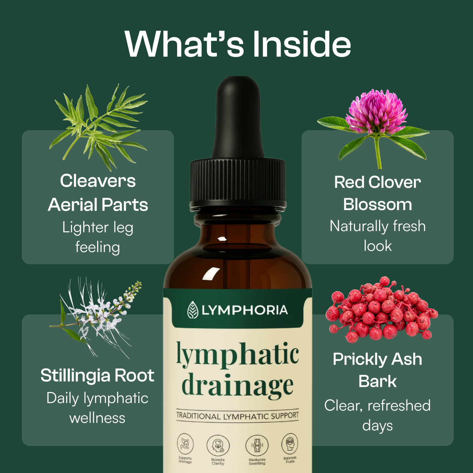 Lymphoria product detail 5